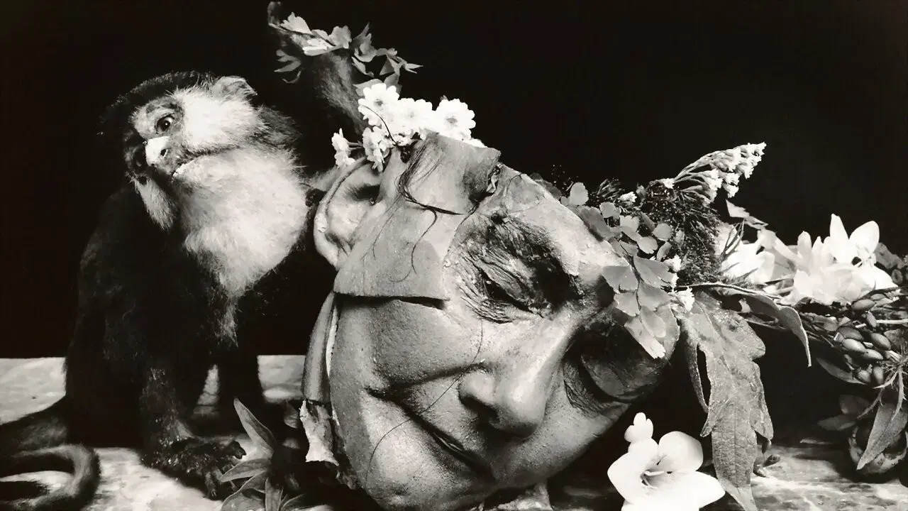 Witkin & Witkin