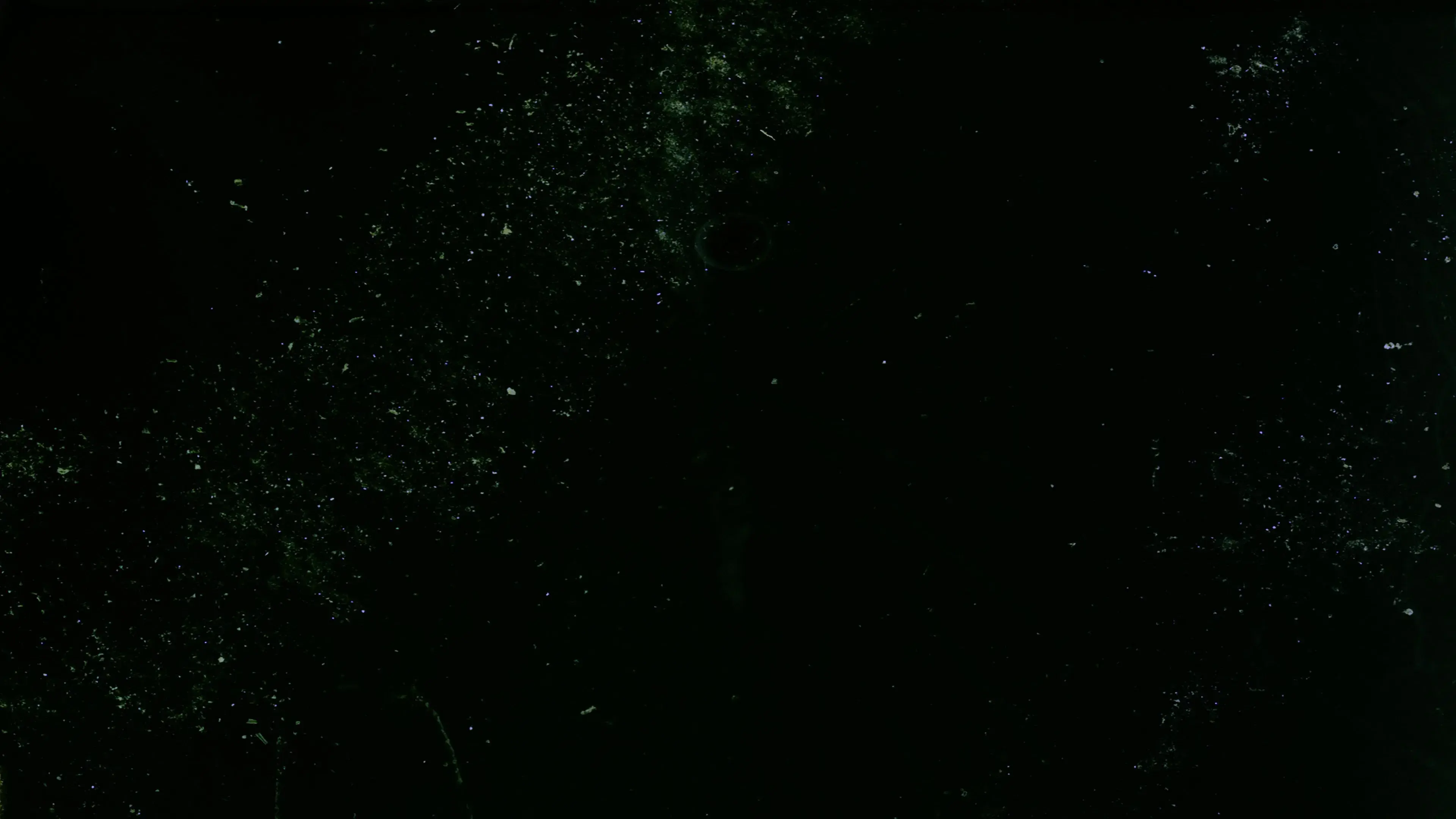 Here are some Images