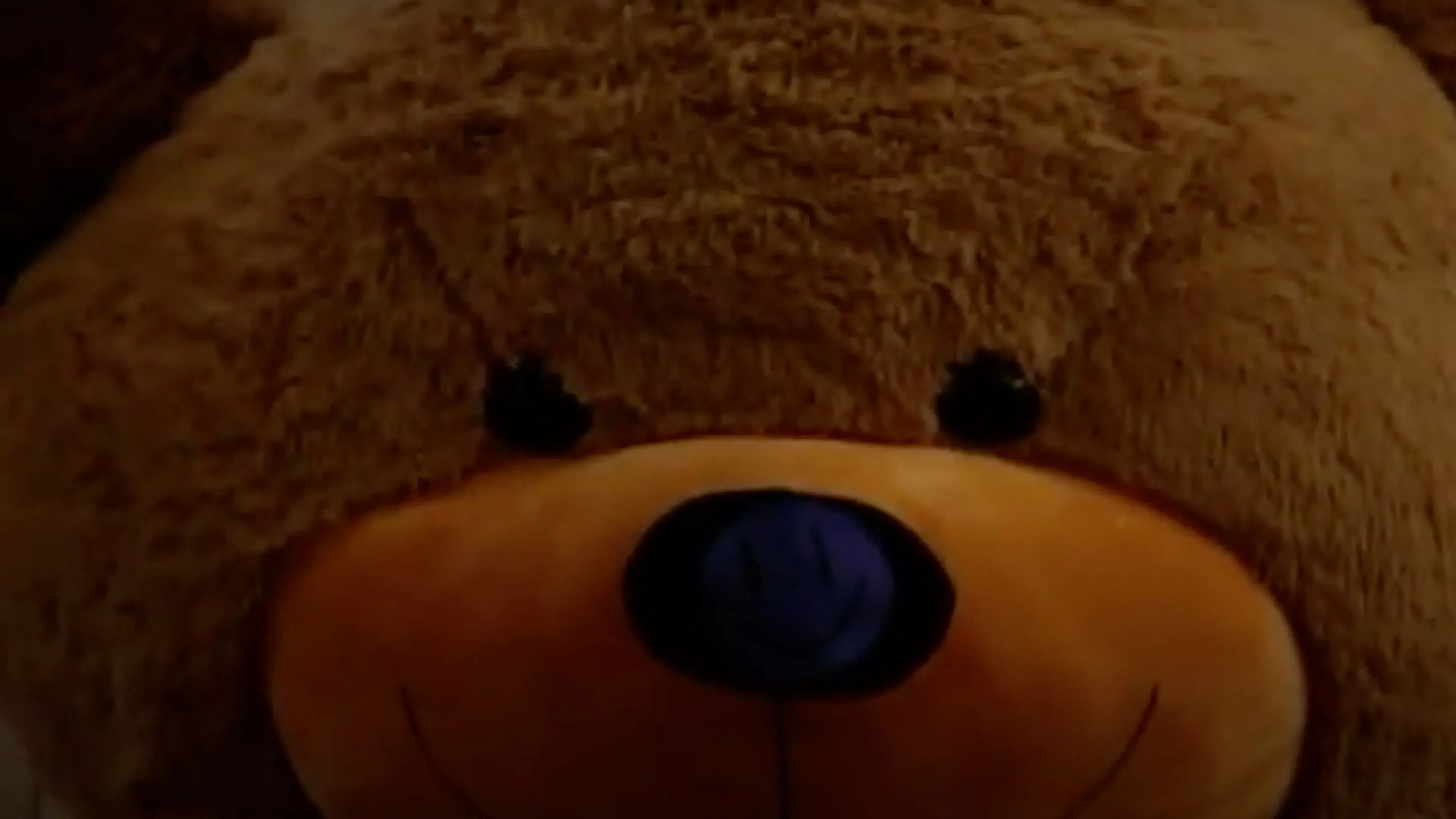 Steven's Last Night in Town