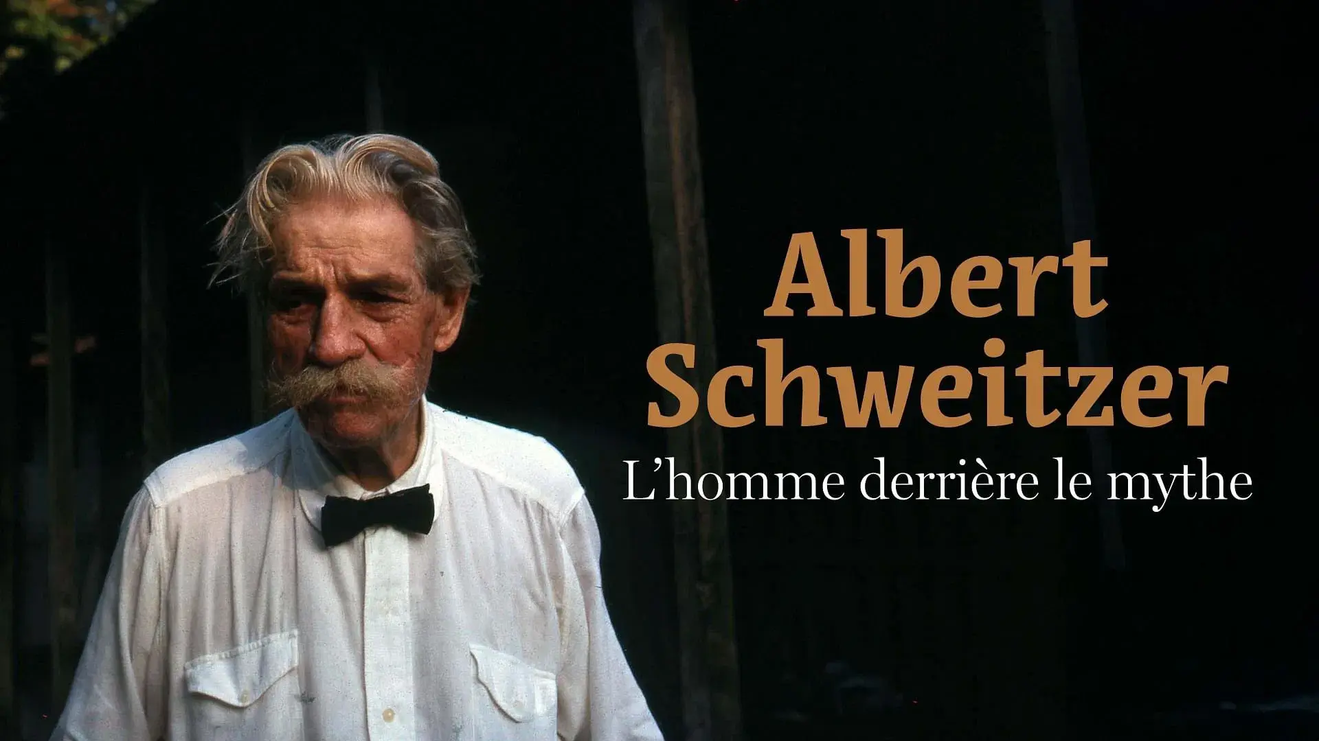 Albert Schweitzer - The Man Behind the Myth