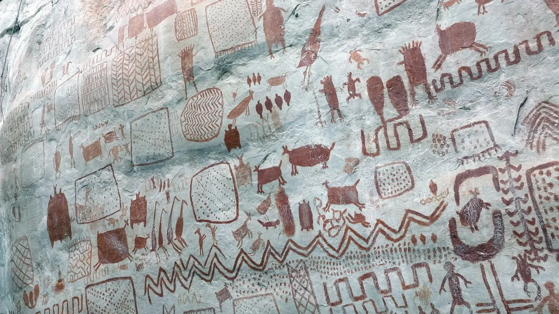 Les secrets des fresques d'Amazonie