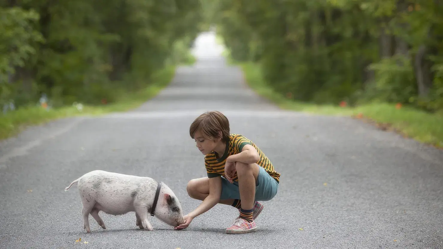 Hotell Gyllene Knorren - filmen