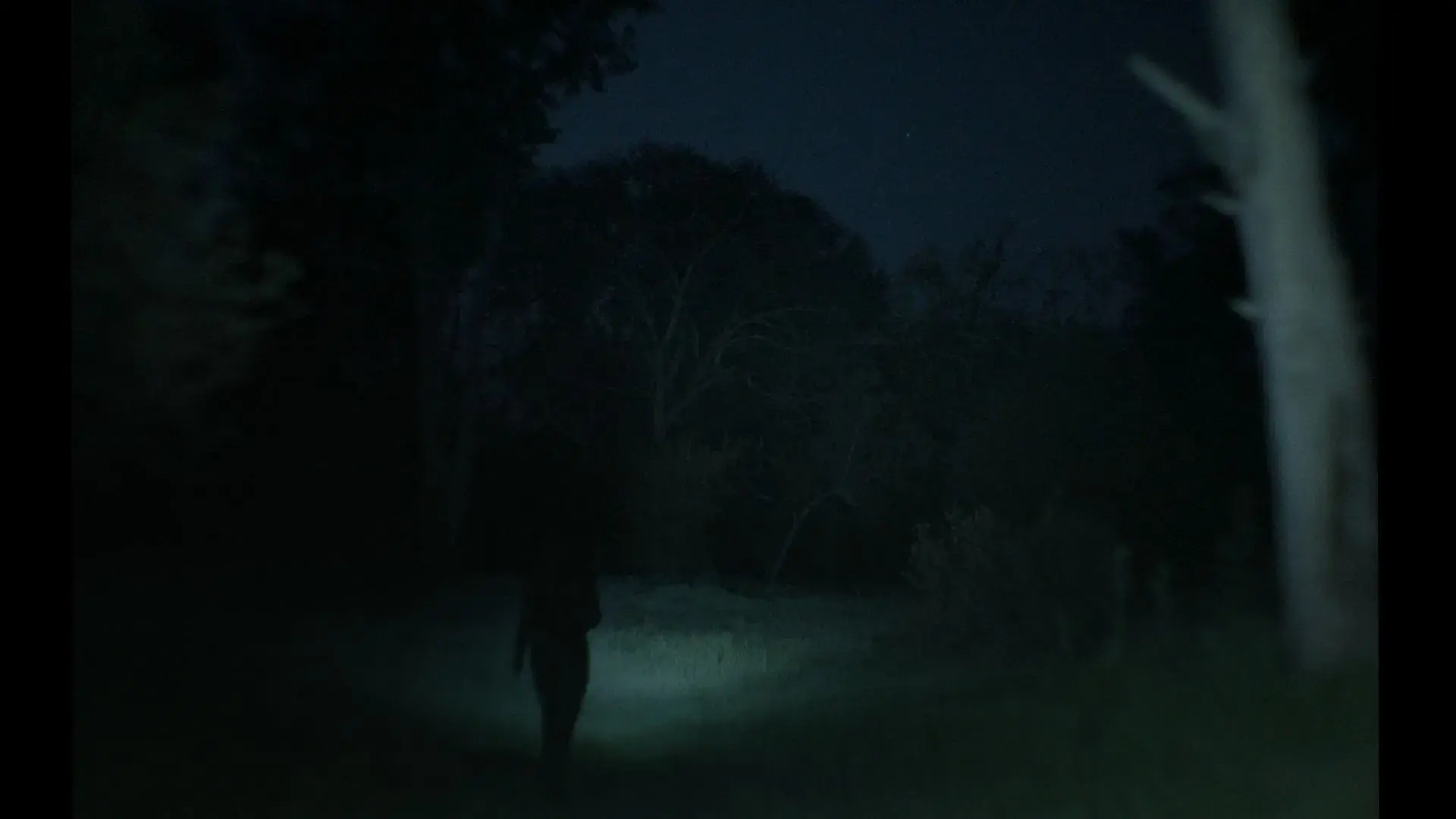 A veces pienso en volver