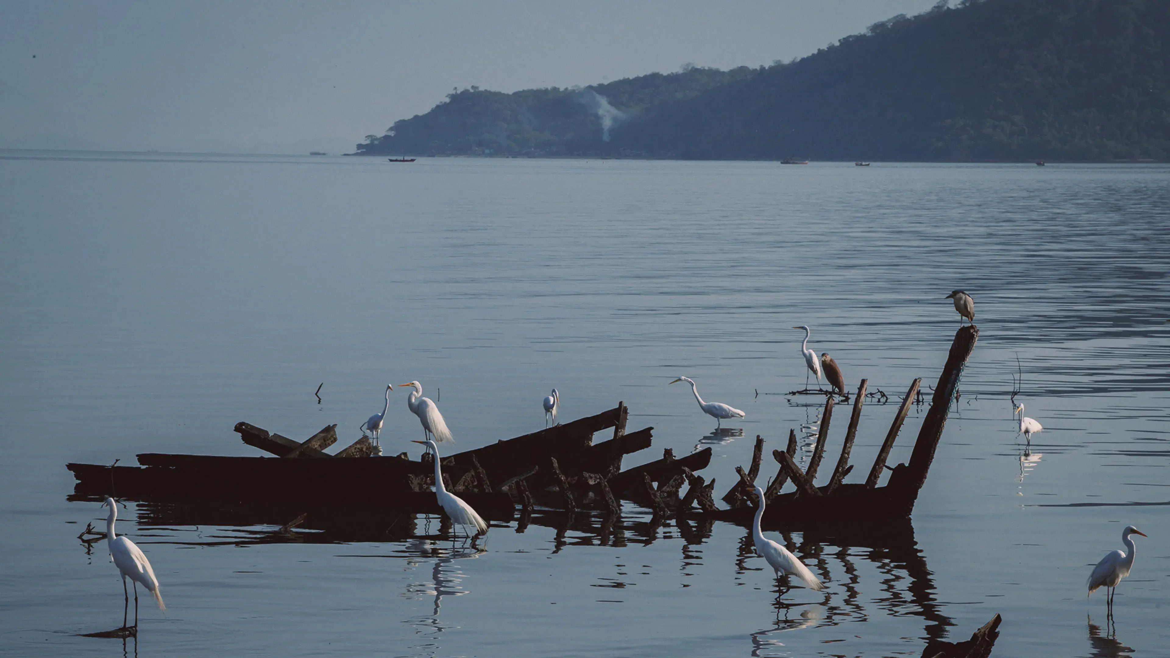 Antes do Último Adeus