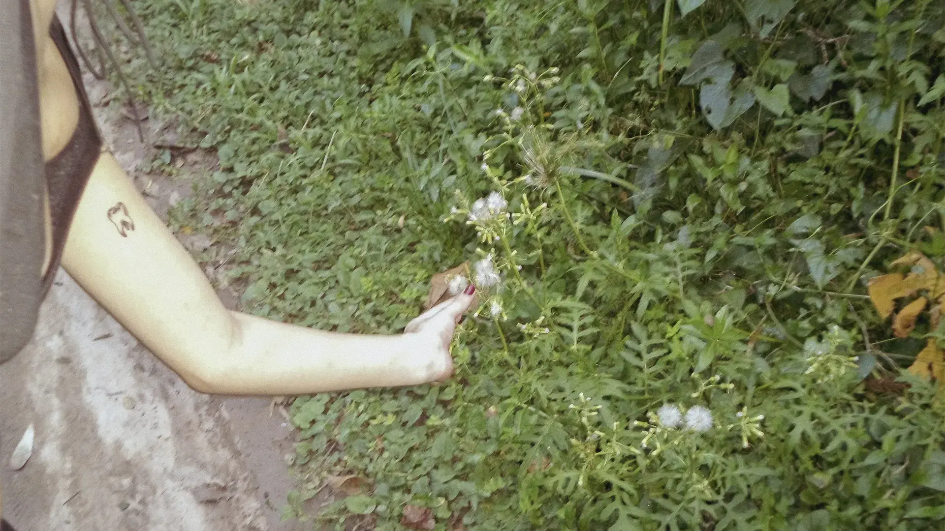 o céu diante dos meus olhos nunca é cinza