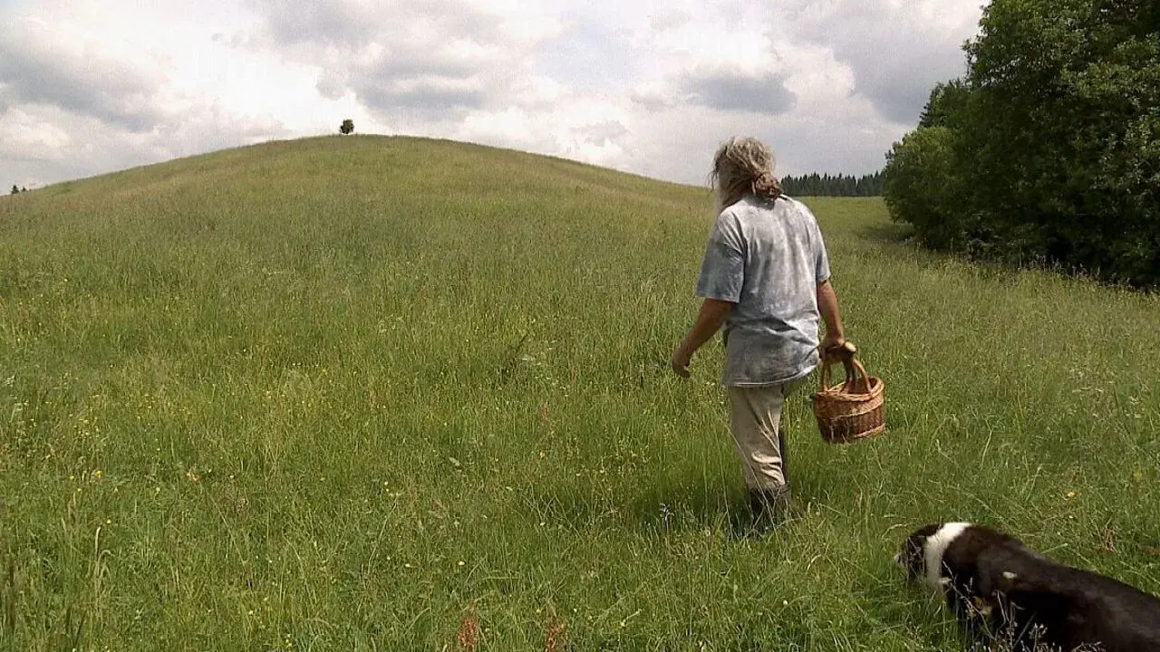 Auf der Suche nach Heilern