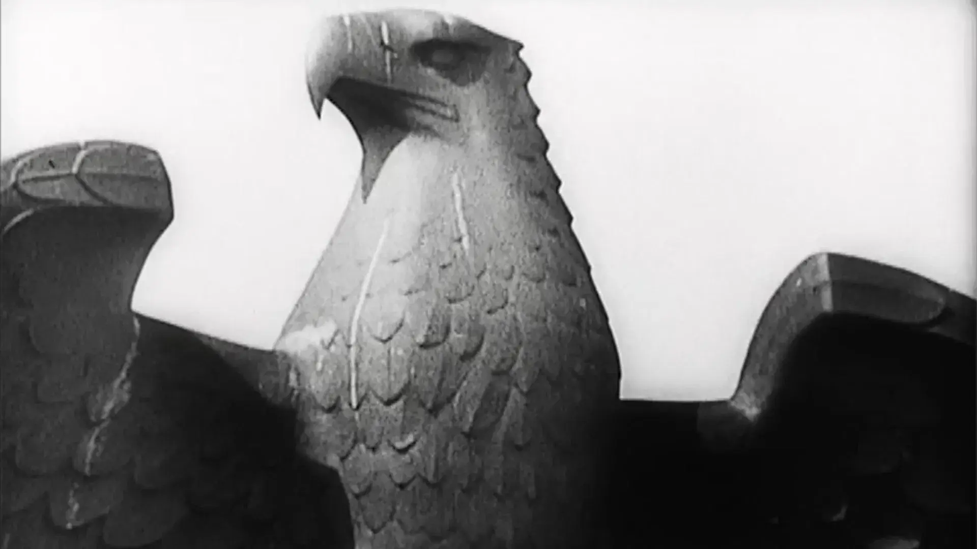 In the Land of Eagles and Crosses