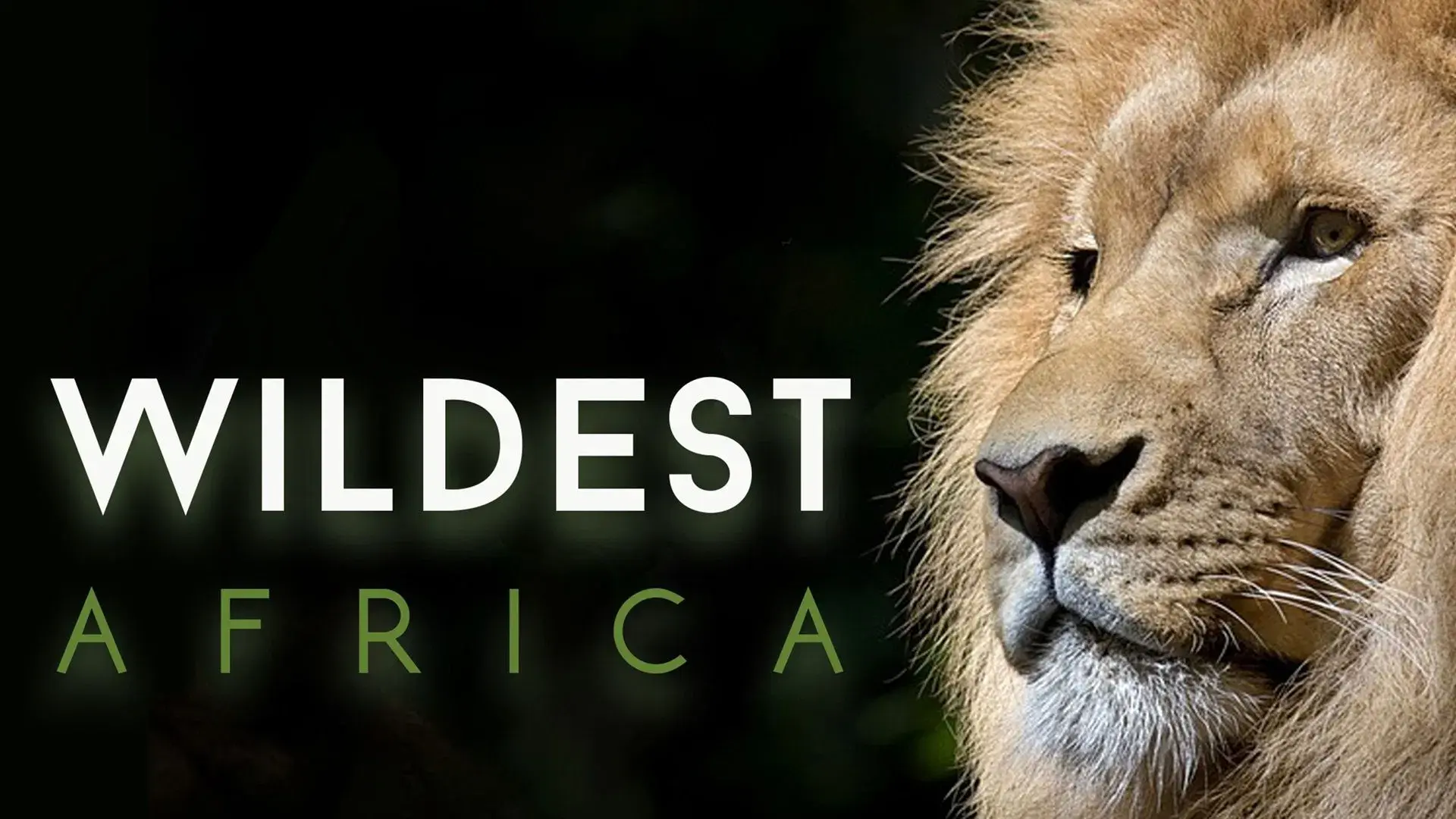 Wildest Africa