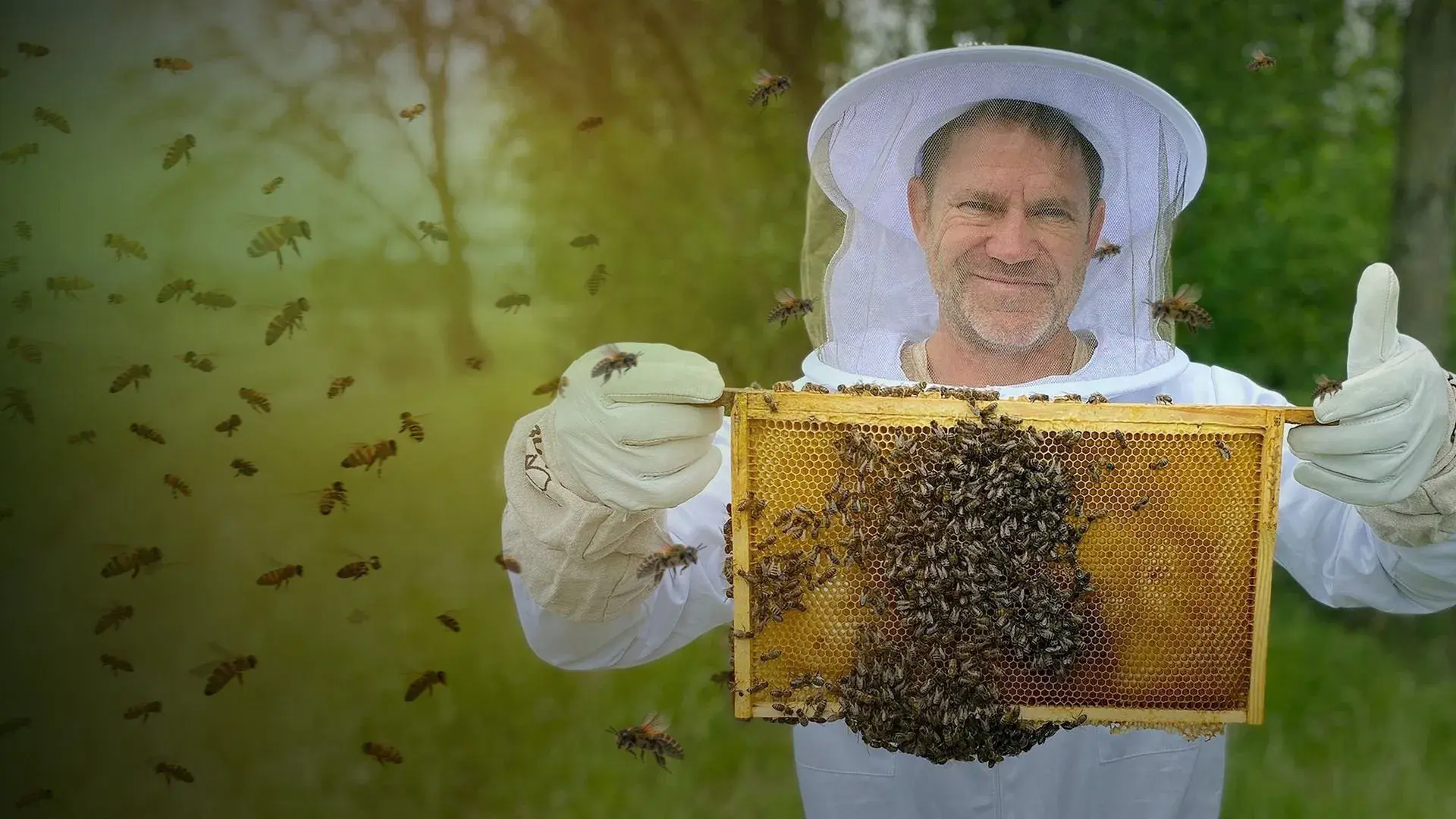 The Secret Life of Bees