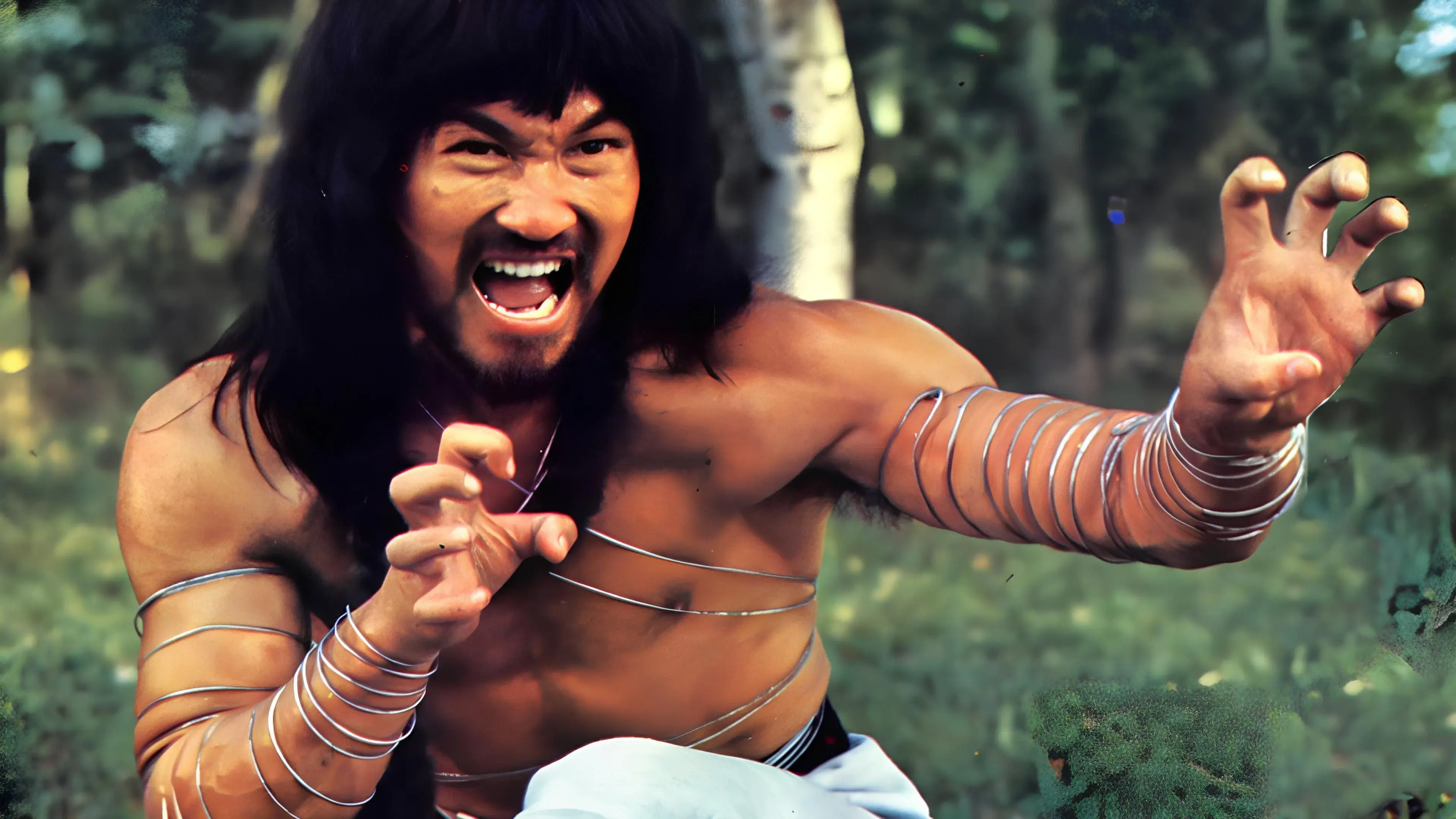 Cantonen Iron Kung Fu