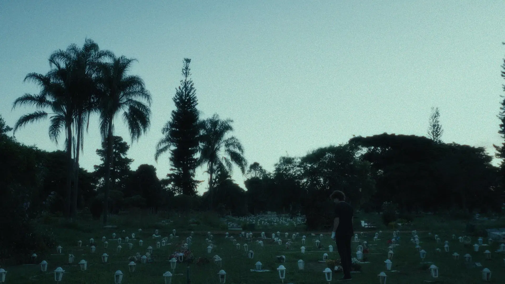 Lágrimas Holandesas