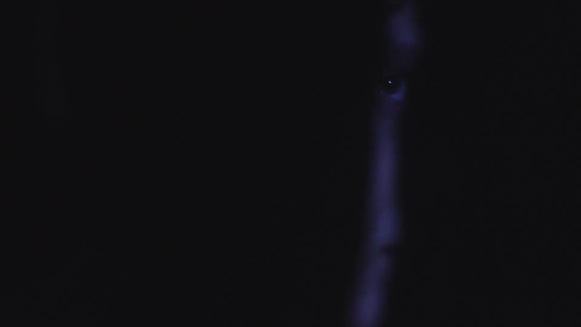 Témele a la Oscuridad: Luz