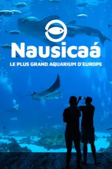 Nausicaa: The Largest Aquarium in Europe