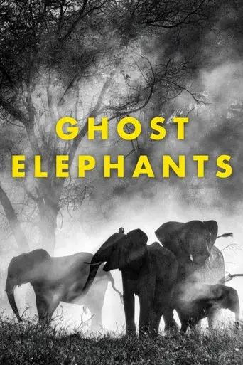 Ghost Elephants