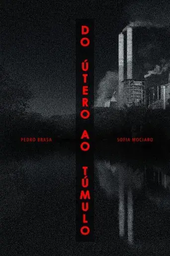 Do Útero Ao Túmulo