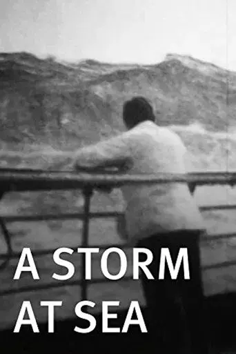 A Storm at Sea