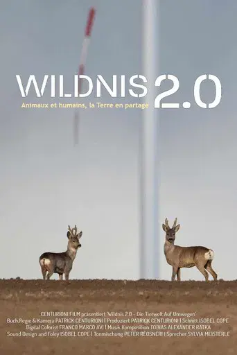 Wildnis 2.0 - Die Tierwelt auf Umwegen