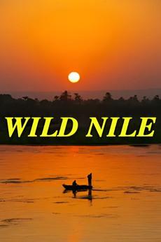 Wild Nile