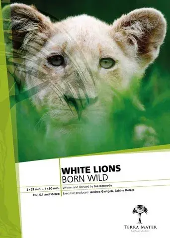 White Lions Born Wild
