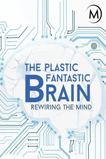 Plastic Fantastic Brain