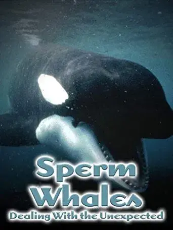 Sperm Whales: Dealing with the Unexpected