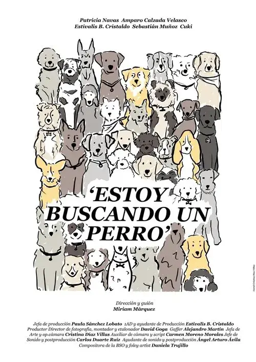 Estoy buscando un perro