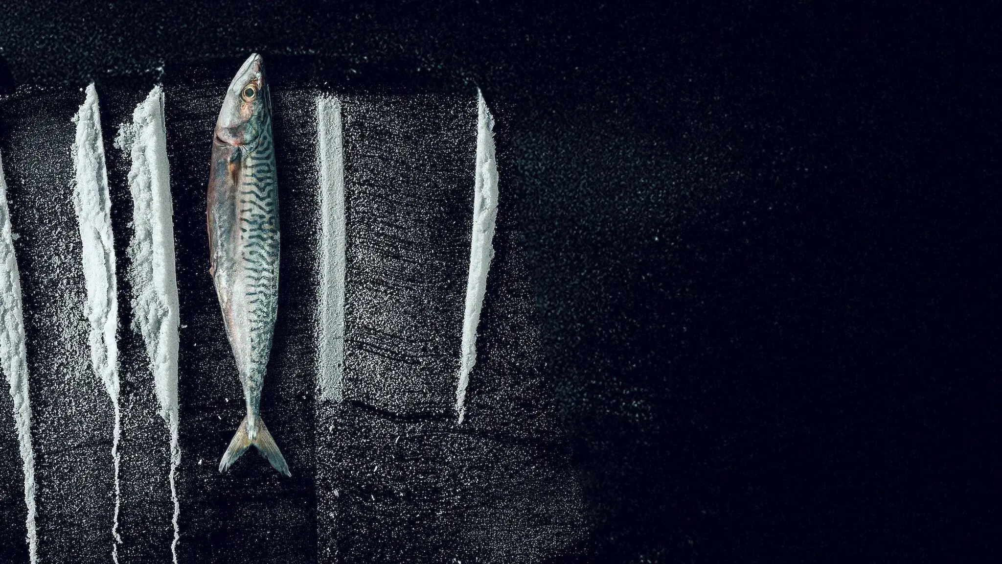 Turn of the Tide: The Surreal Story of Rabo de Peixe