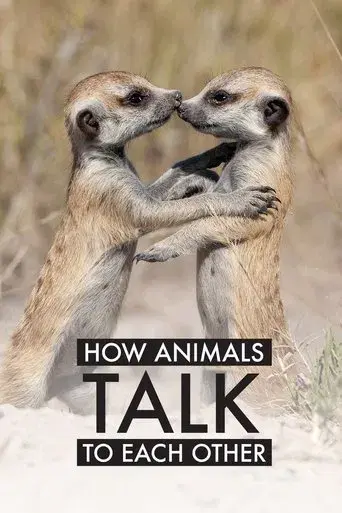 How Animals Talk To Each Other