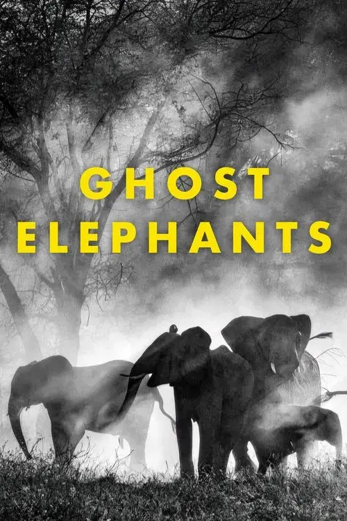 Ghost Elephants